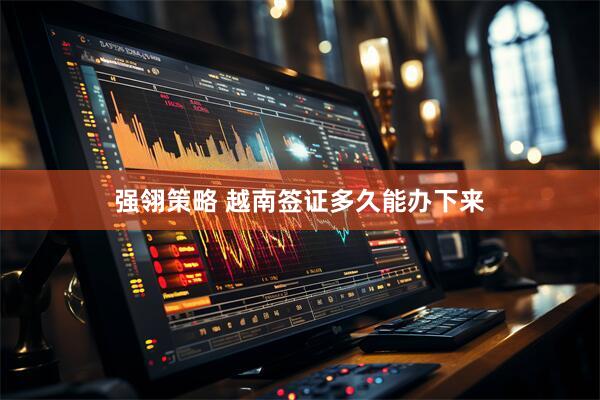 强翎策略 越南签证多久能办下来